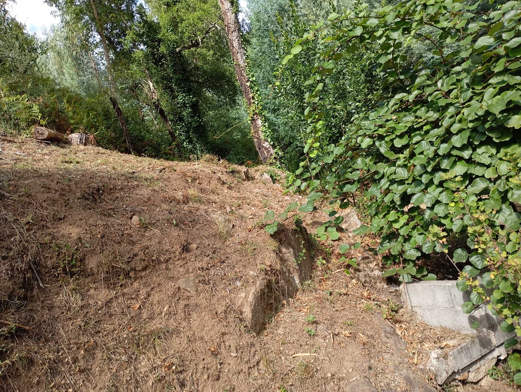 Limpeza de terrenos