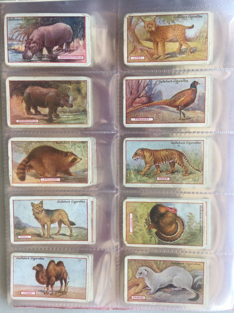 Série 100 cigarette cards: Gallagher, 1921 Animals and Birds of Commercial Value