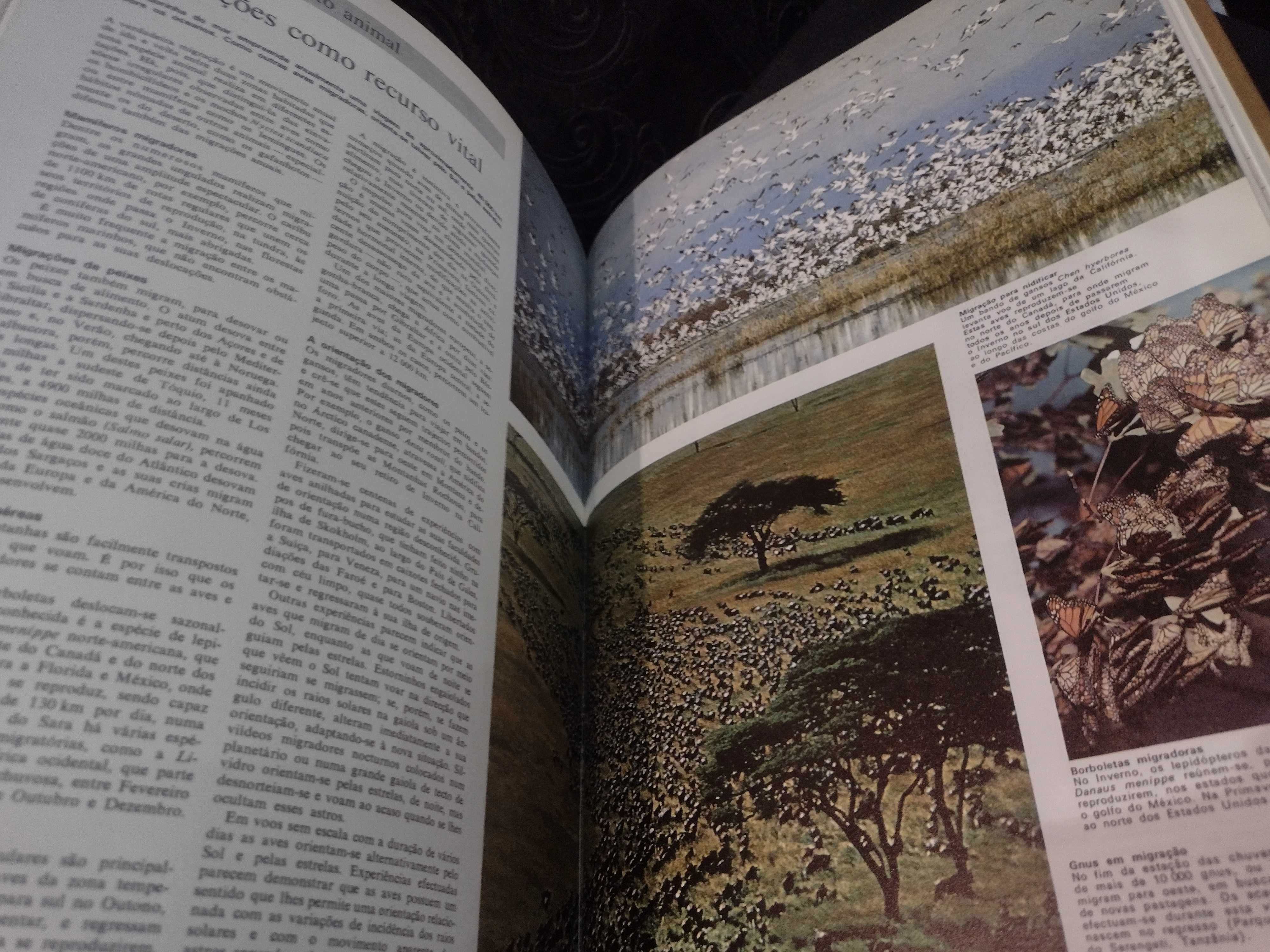 Livro Animais da Terra