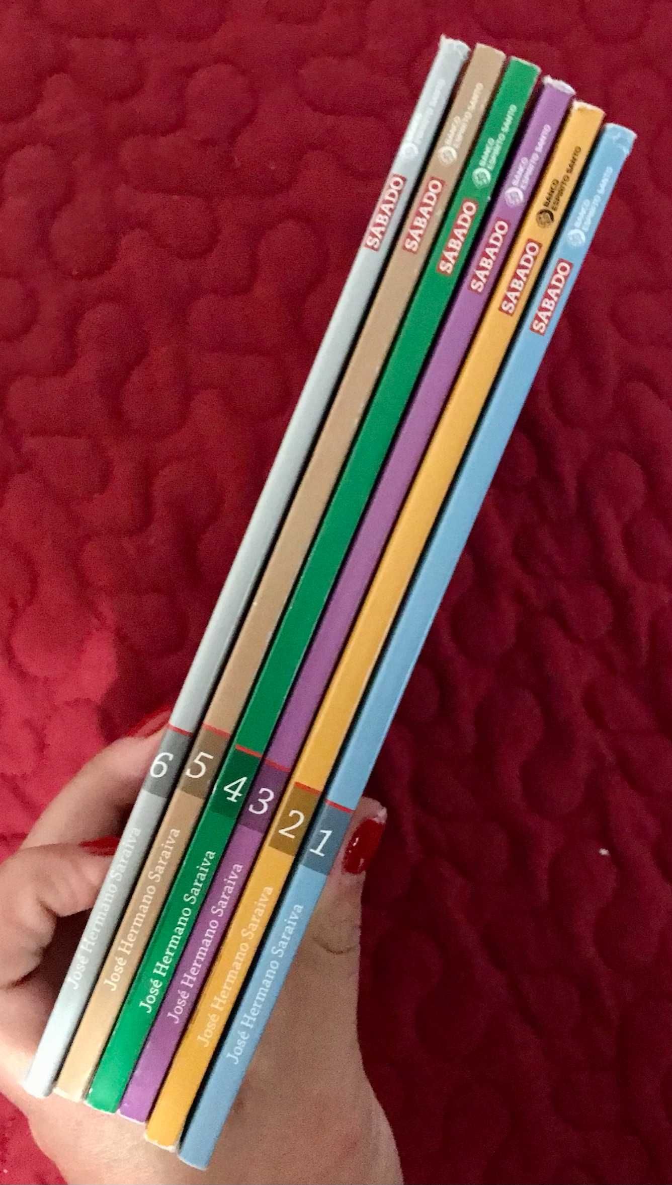 Coleção da Revista Sábado História de Portugal (portes incluídos)