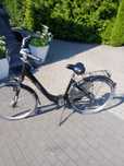 rower damka holederski crivit