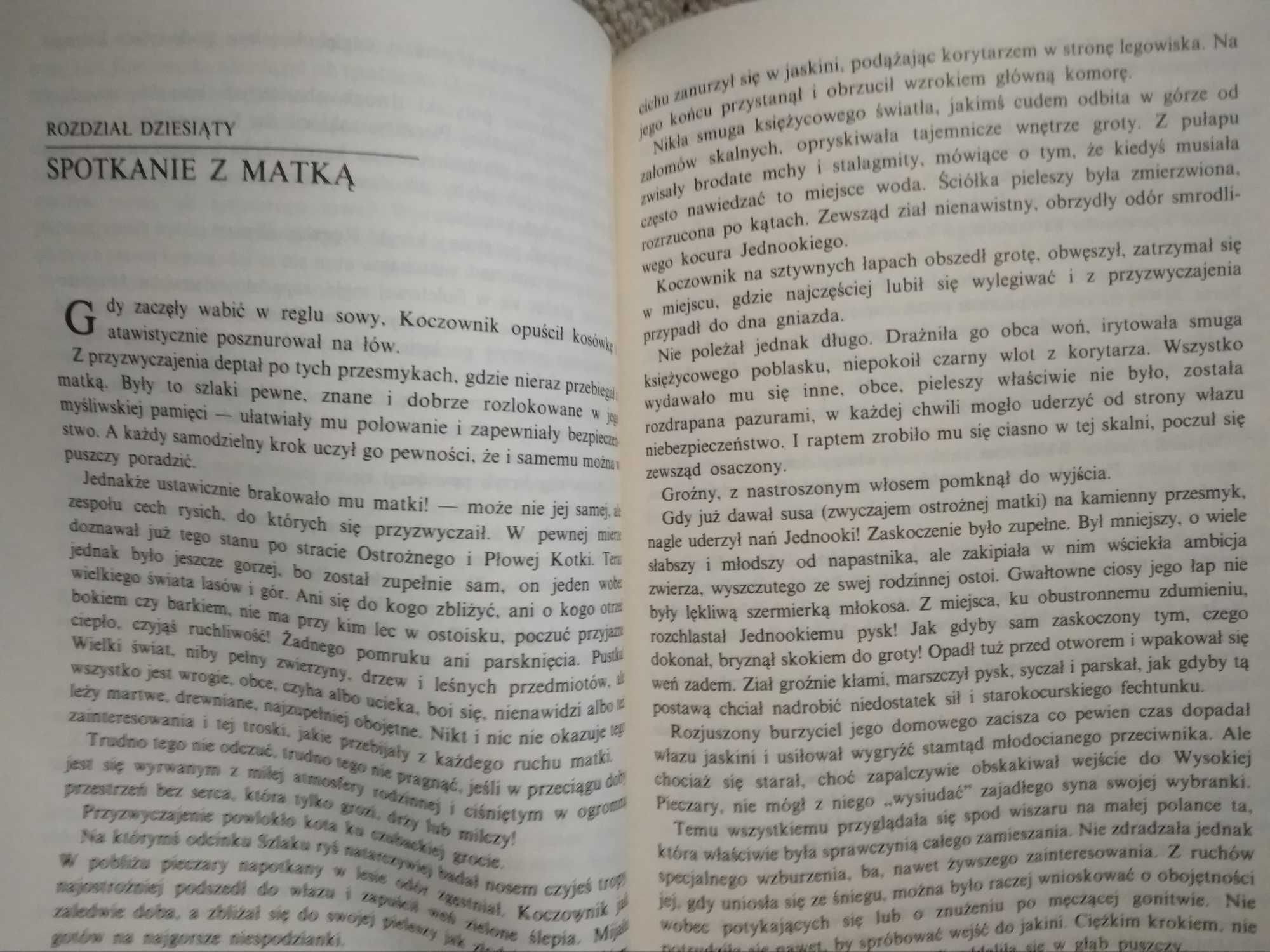 Władca Doliny Morskiego Oka Karpowicz Tytus wyd 1988