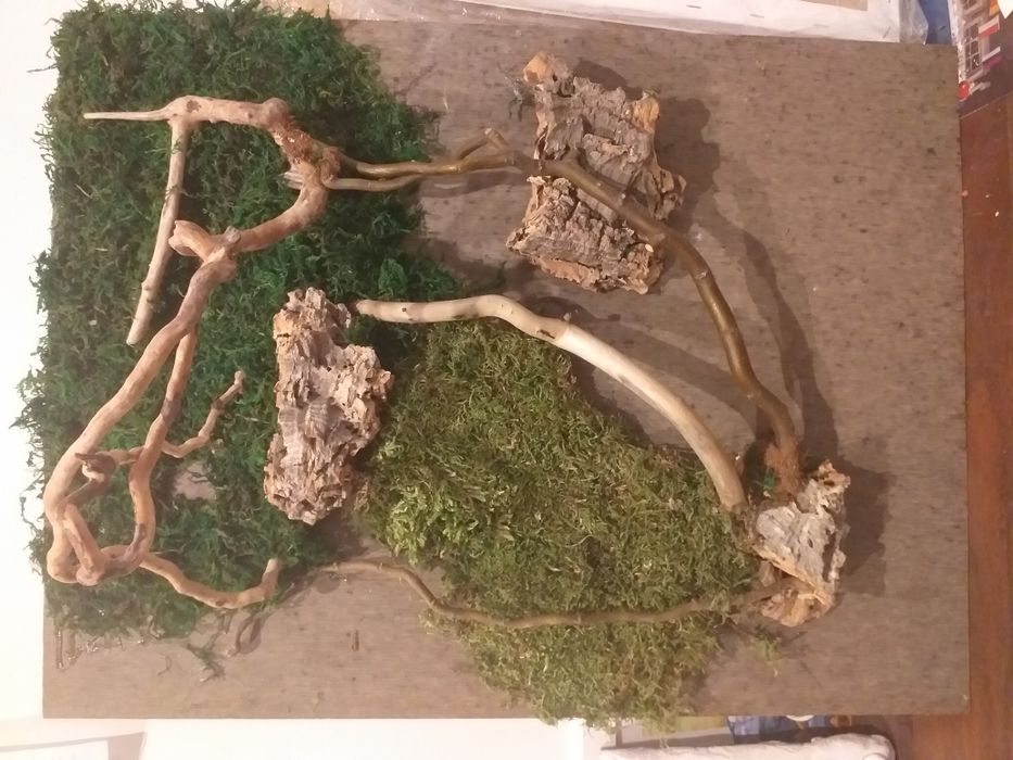 Tło do terrarium planedarium dla felsum gekonow żab żabek