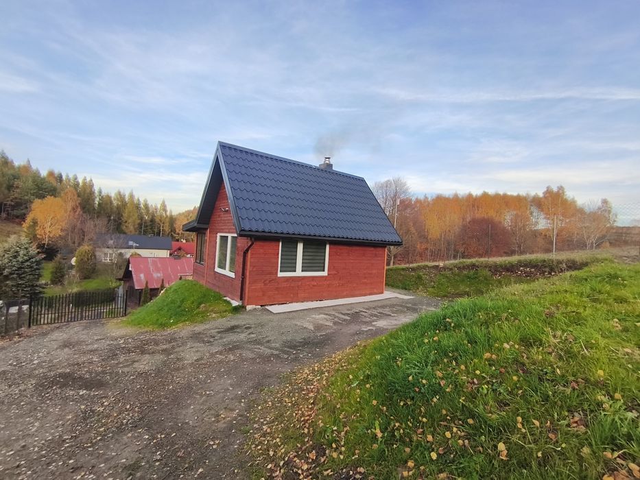 Wynajem Domku w lesie – Ojców, Pieskowa Skała, Jura, Maczuga noclegi