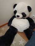Panda grande peluche