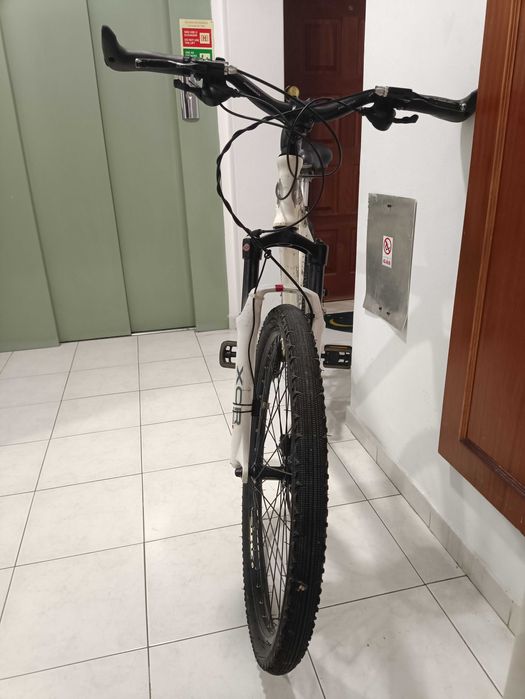 Bicicleta Bjorg btt