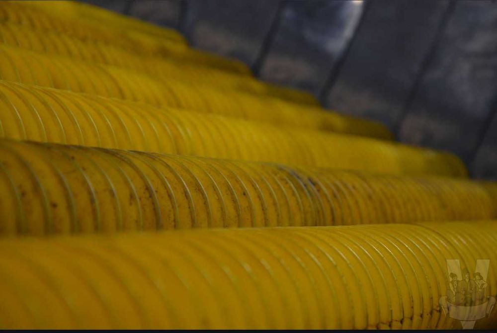 Спіральний вал поліуретановий сортувальної машини. сортування картоплі