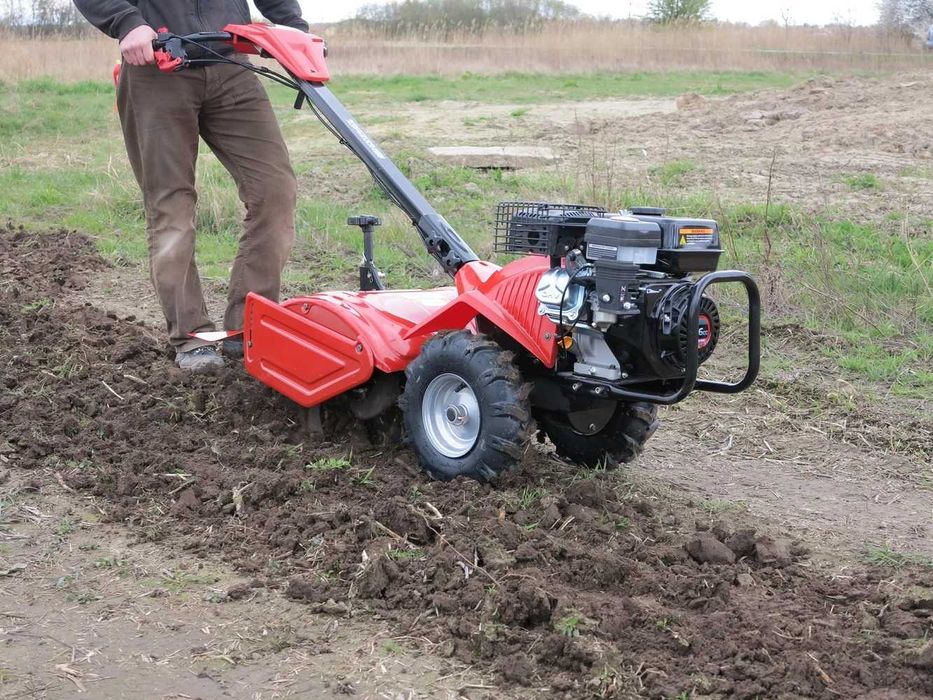 Glebogryzarka spalinowa Hortmasz wynajem, wypożyczenie