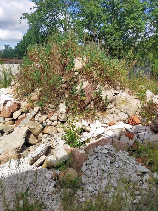 Oddam za darmo Gruz rozbiórkowy , kamienie polne,  betonowy
