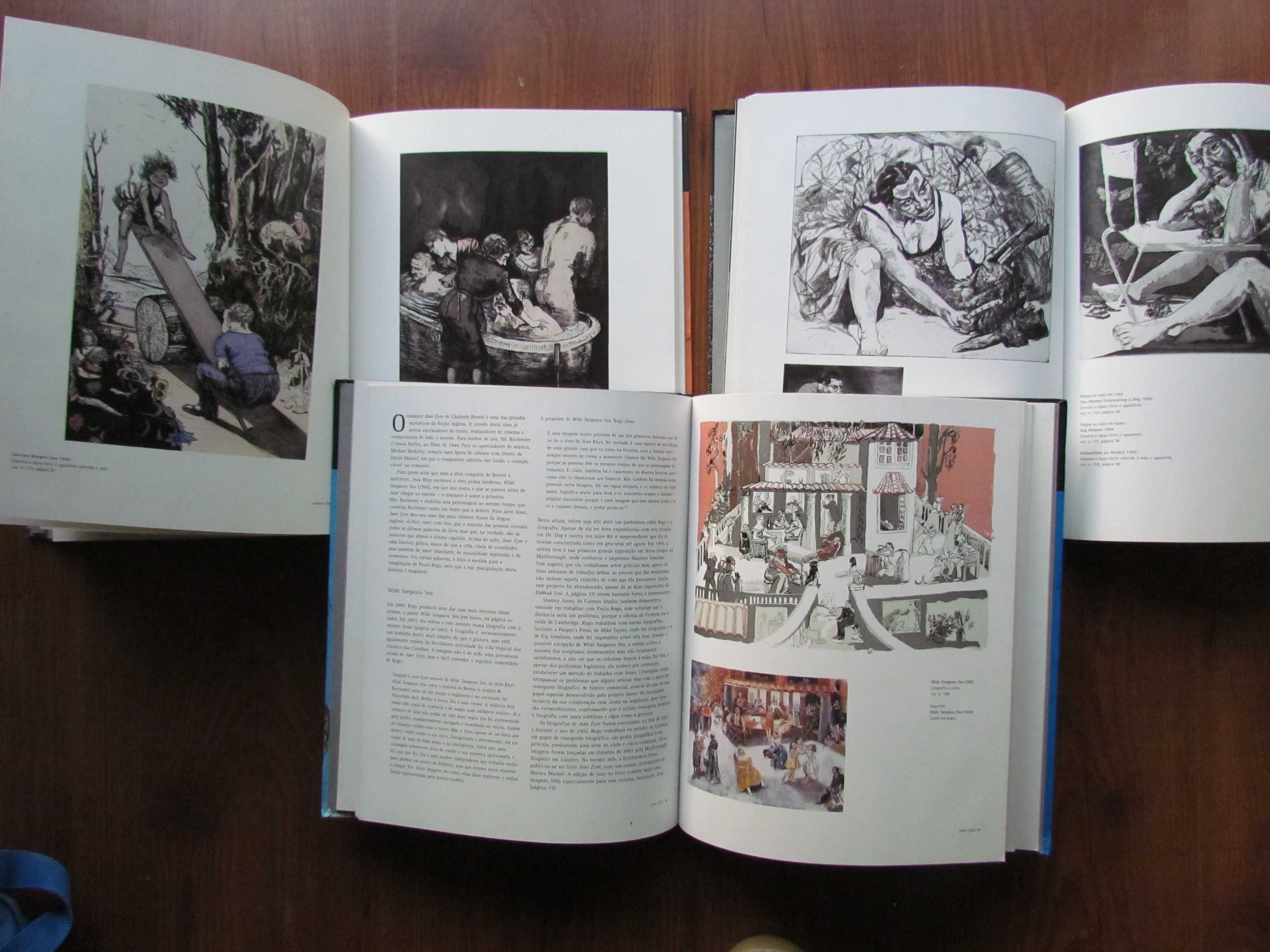 Paula Rego Obra Gráfica Completa (Livros 3 volumes)