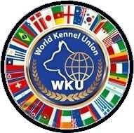 Предлагаем клубных щенков