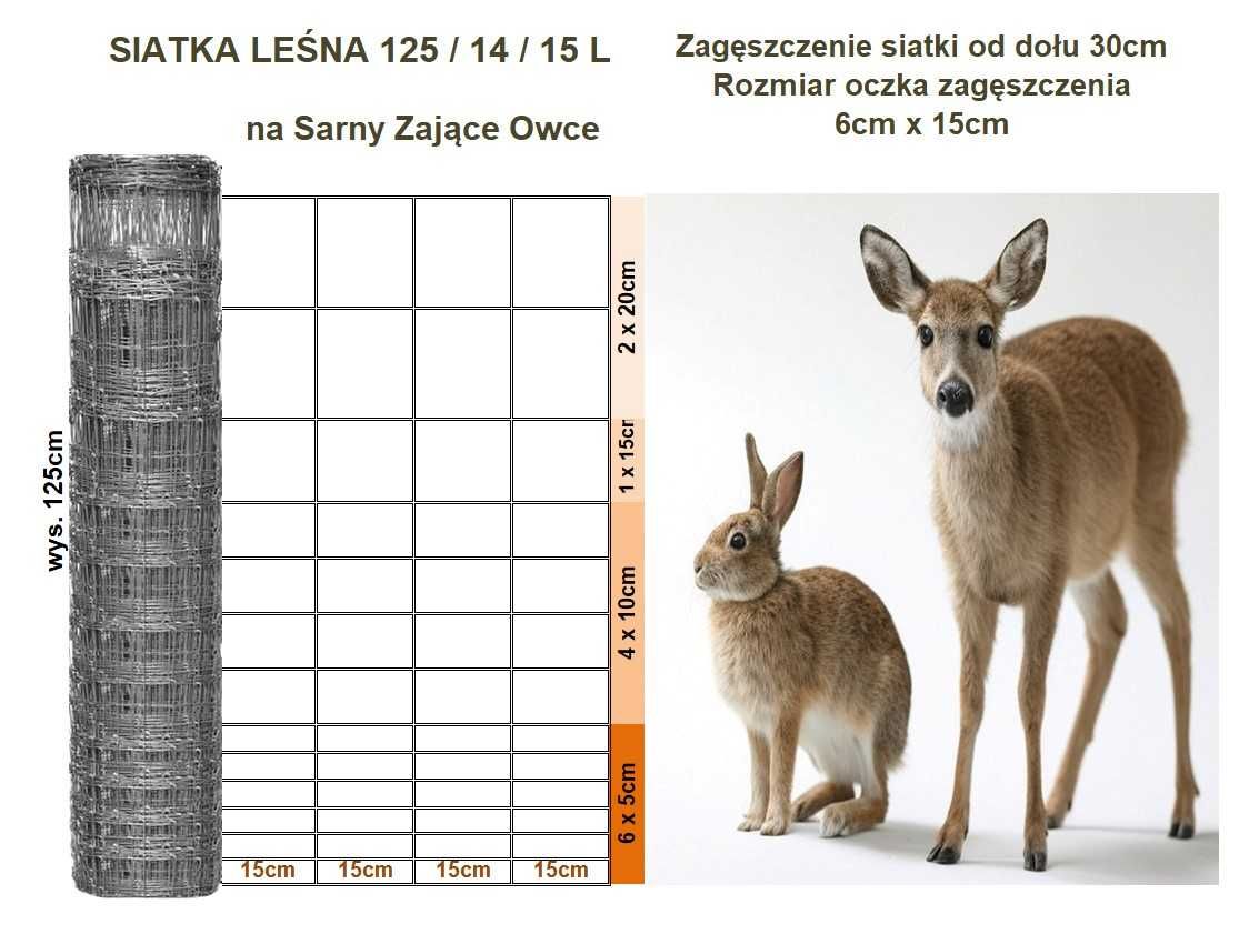 Siatka ogrodzeniowa leśna 125 cm - ochrona przed zwierzętami hodowlana
