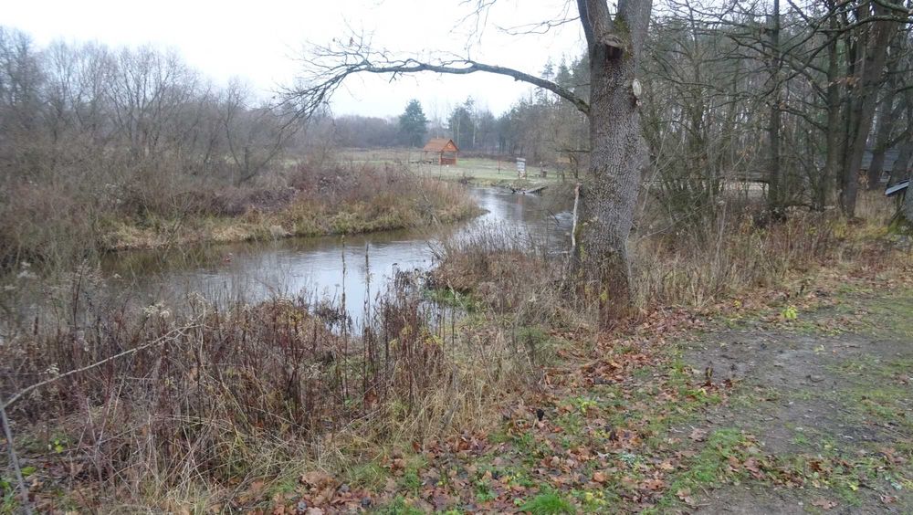 Sprzedam tartak w Pisklakach gmina ŁUKOWA pow. Biłgoraj