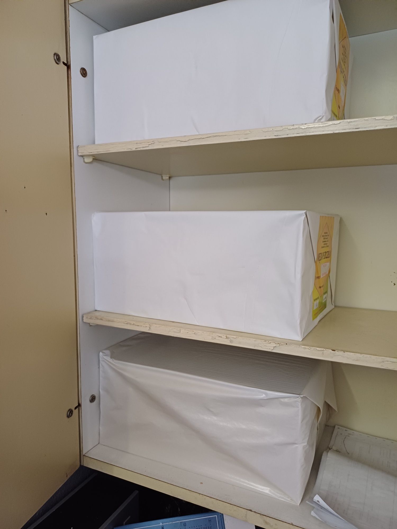 Promocja Węza pszczela wielkopolską komórka 5.4 wosk pszczeli