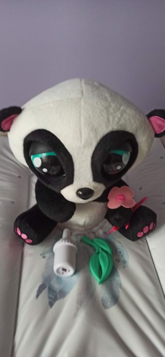 Interaktywna Panda
