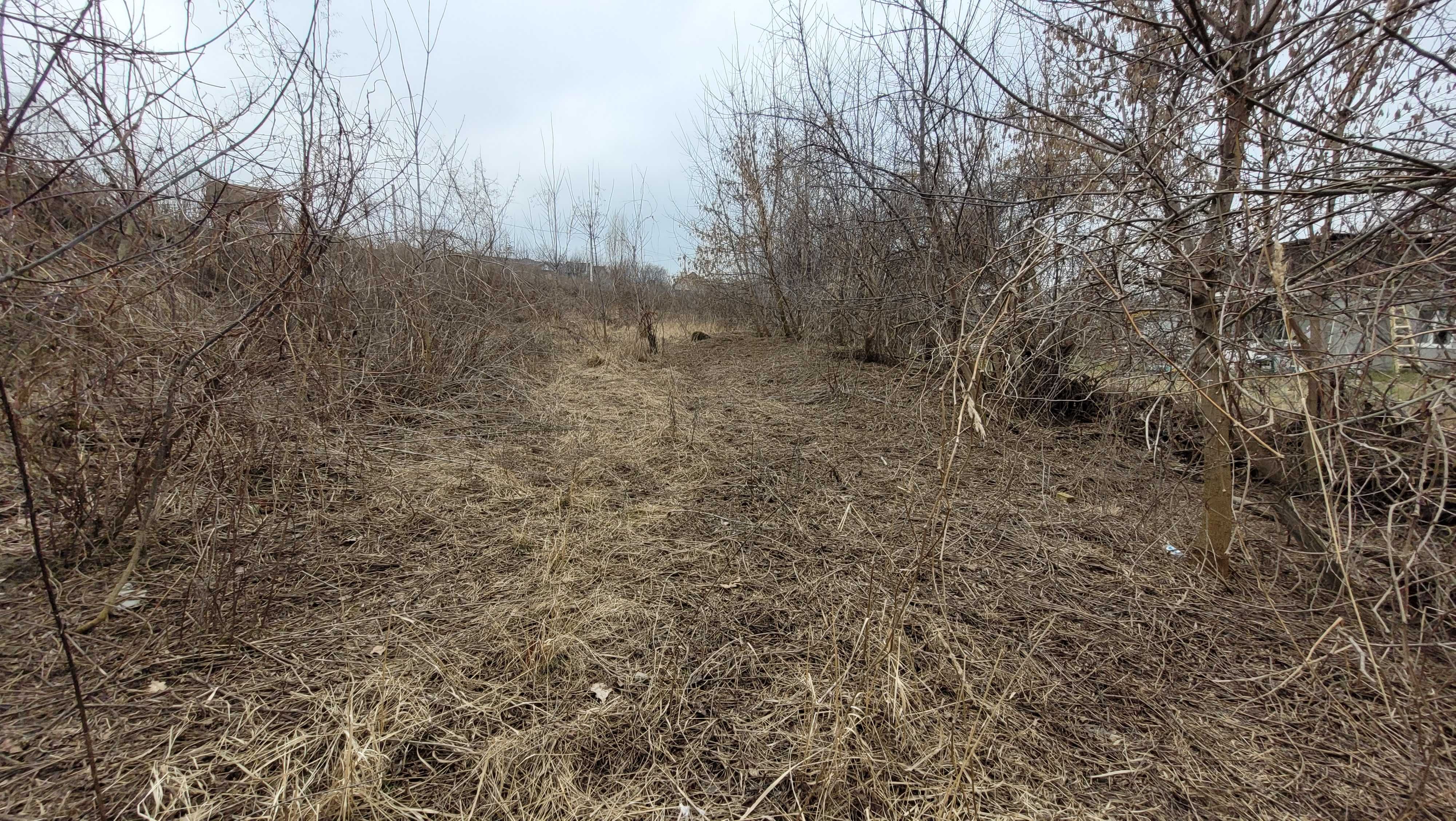 Петропавлівська Борщагівка . Старе село. 24,6 сот. Комунікації. Без%.