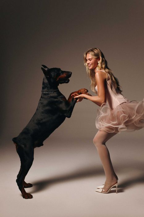 Фотосессия с доберманом, доберман - больше чем собака