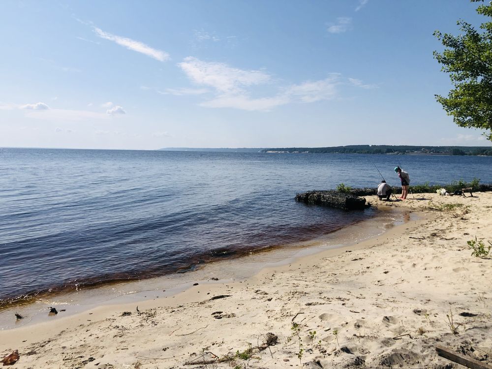 Будиночок в лісі.20хв.від Києва.Сосни і море.Пляж & барбекю.