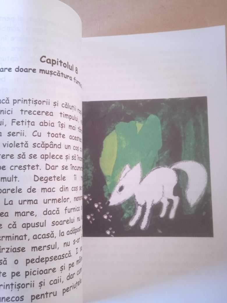 A menina e a raposa prateada