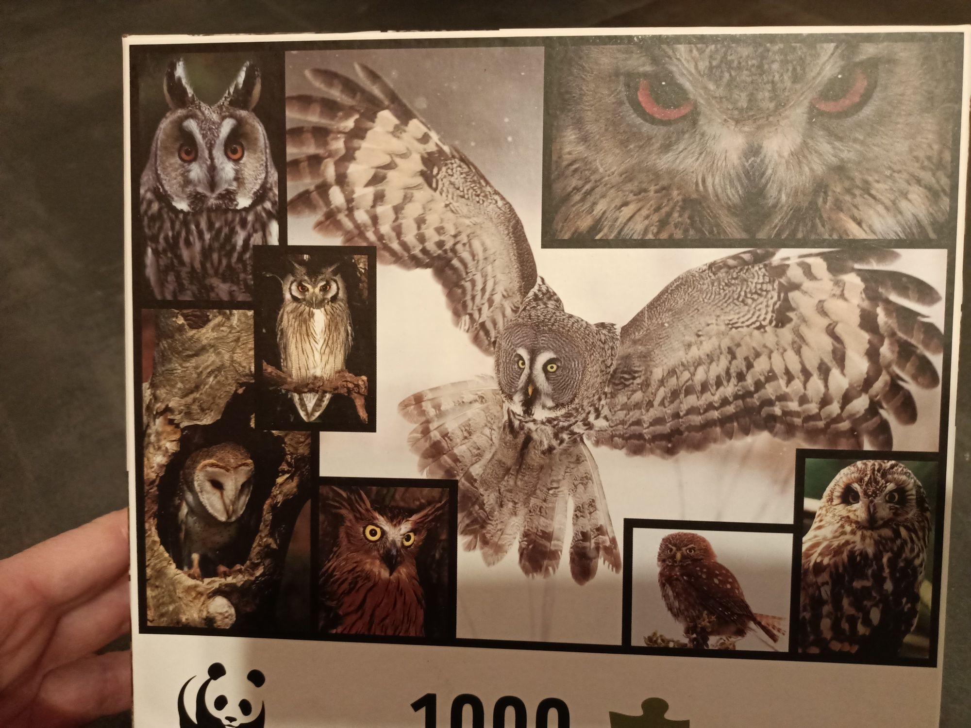 Puzzle Sowy WWF 1000szt