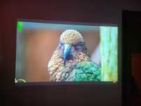 Projector rzutnik Epson,z uchwytem na ścianie