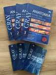Zestaw anatomia gray podreczniki plus pytania testowe