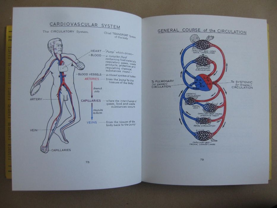 Ilustrated Physiology de McNaught and Callander