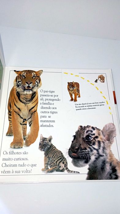 A Roda dos Animais Selvagens