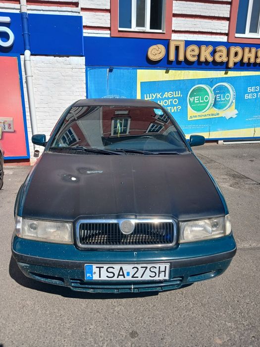 Бойовий кінь в гарному стані