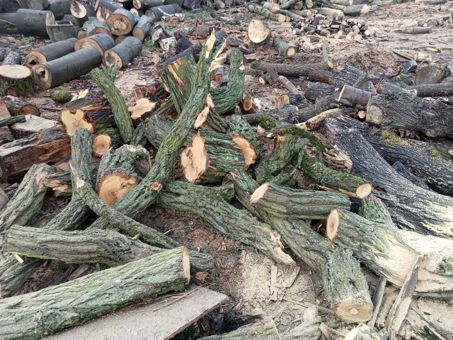 Drewno opałowe opał kominkowe kominek liściaste iglaste Pellet A1