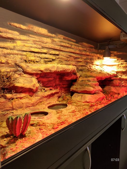 Terrarium 50x70x150