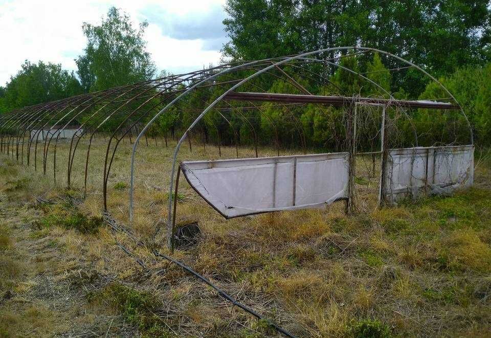 Wzmacniany tunel foliowy 7x30m - konstrukcja hala
