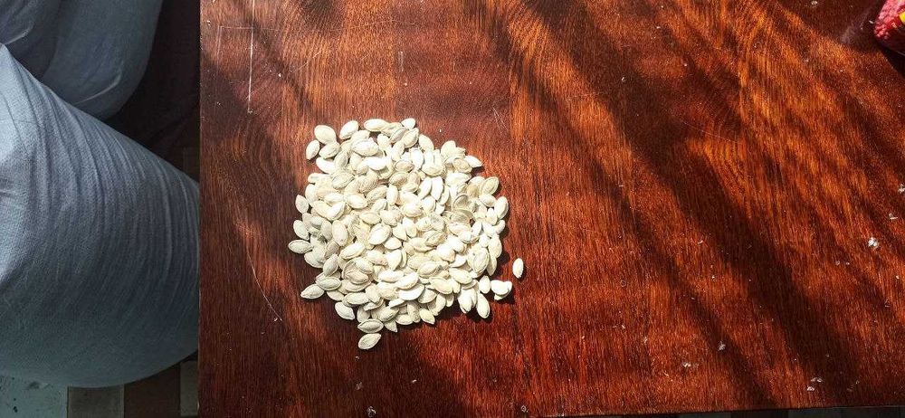 ‼️ Насіння Гарбуза Свіжо-Сушене та Неочищене (смачно та корсно!)