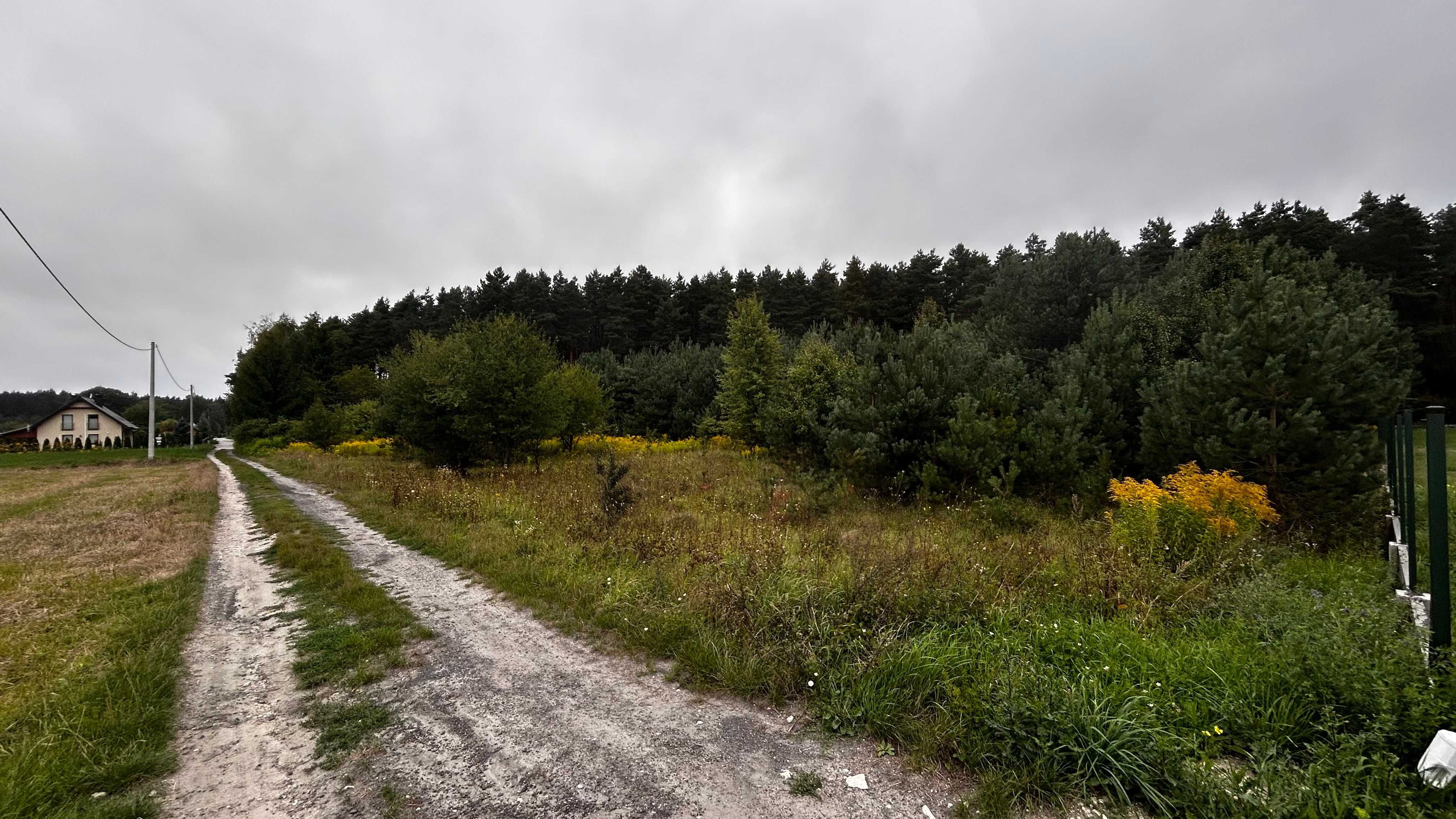 NOWA CENA -  Radków - Świętokrzyskie - Działka pod lasem