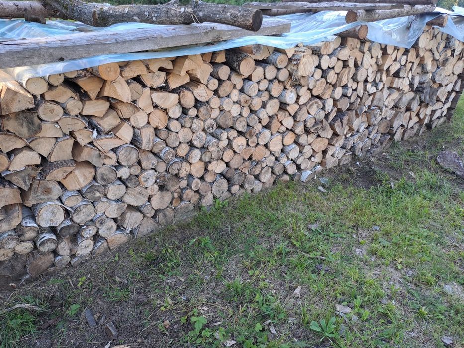 Drewno  sosna świerk olcha brzoza