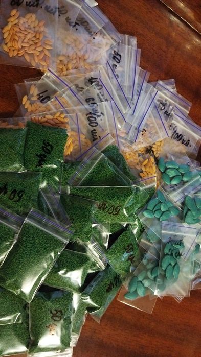 Продам насіння огірків, кабачат та моркви