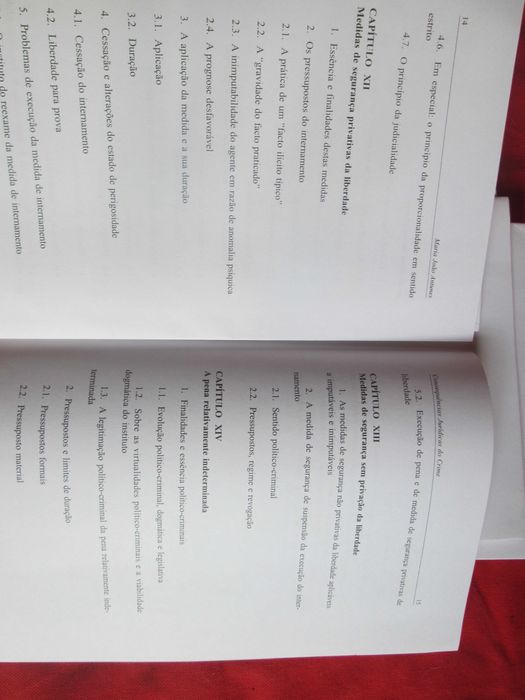 Consequências Jurídicas do Crime, de Maria João Antunes