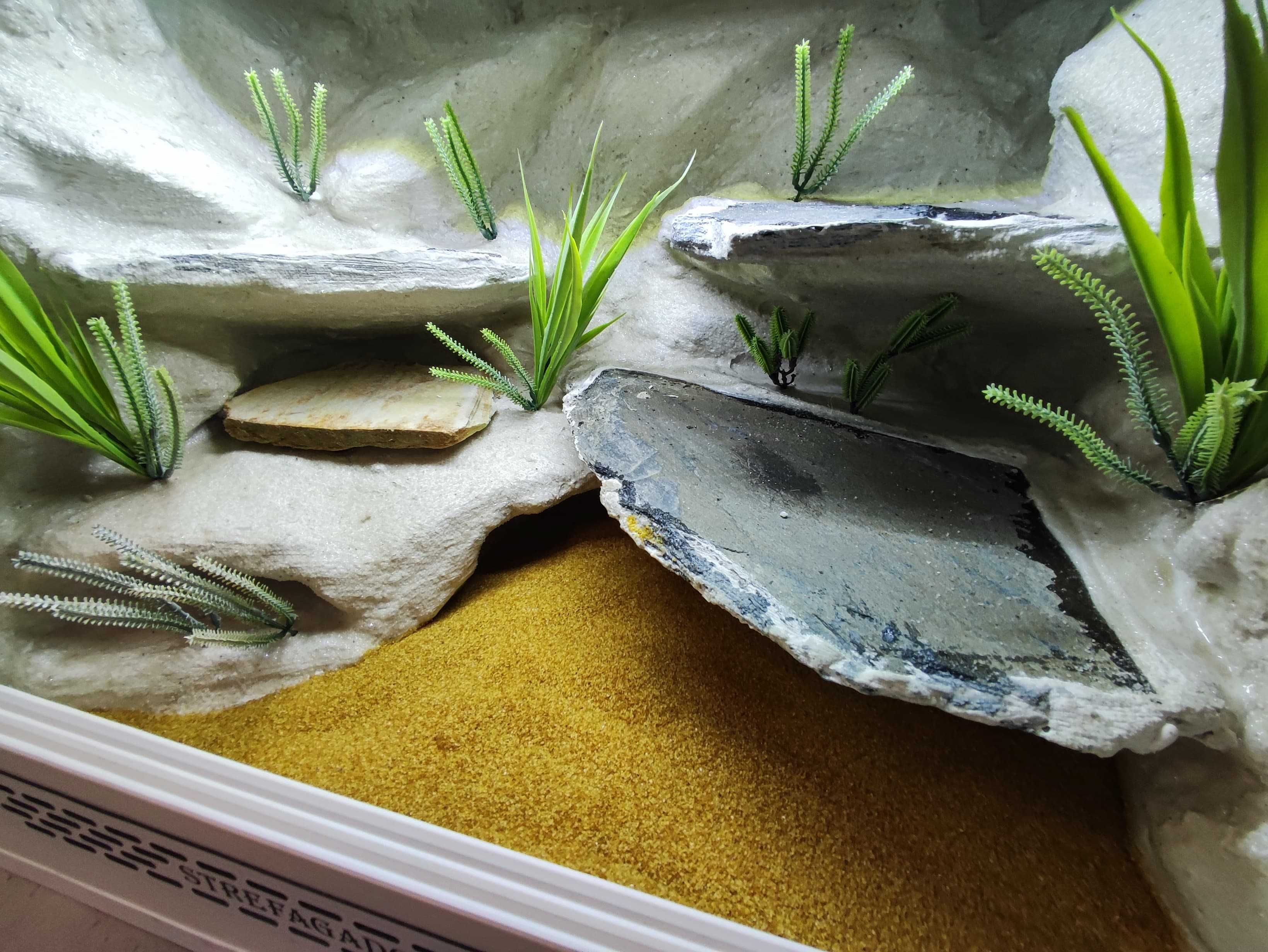 Terrarium pustynne nr686 60/40/40 dla gekona lamparciego DOSTĘPNE