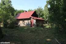 Malownicza okolica - Emilianówka