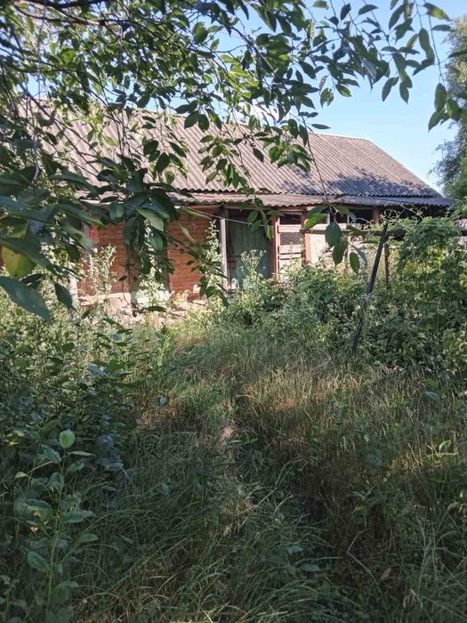 Земельна ділянка 50 соток з дачним будинком в с. Шевченкове