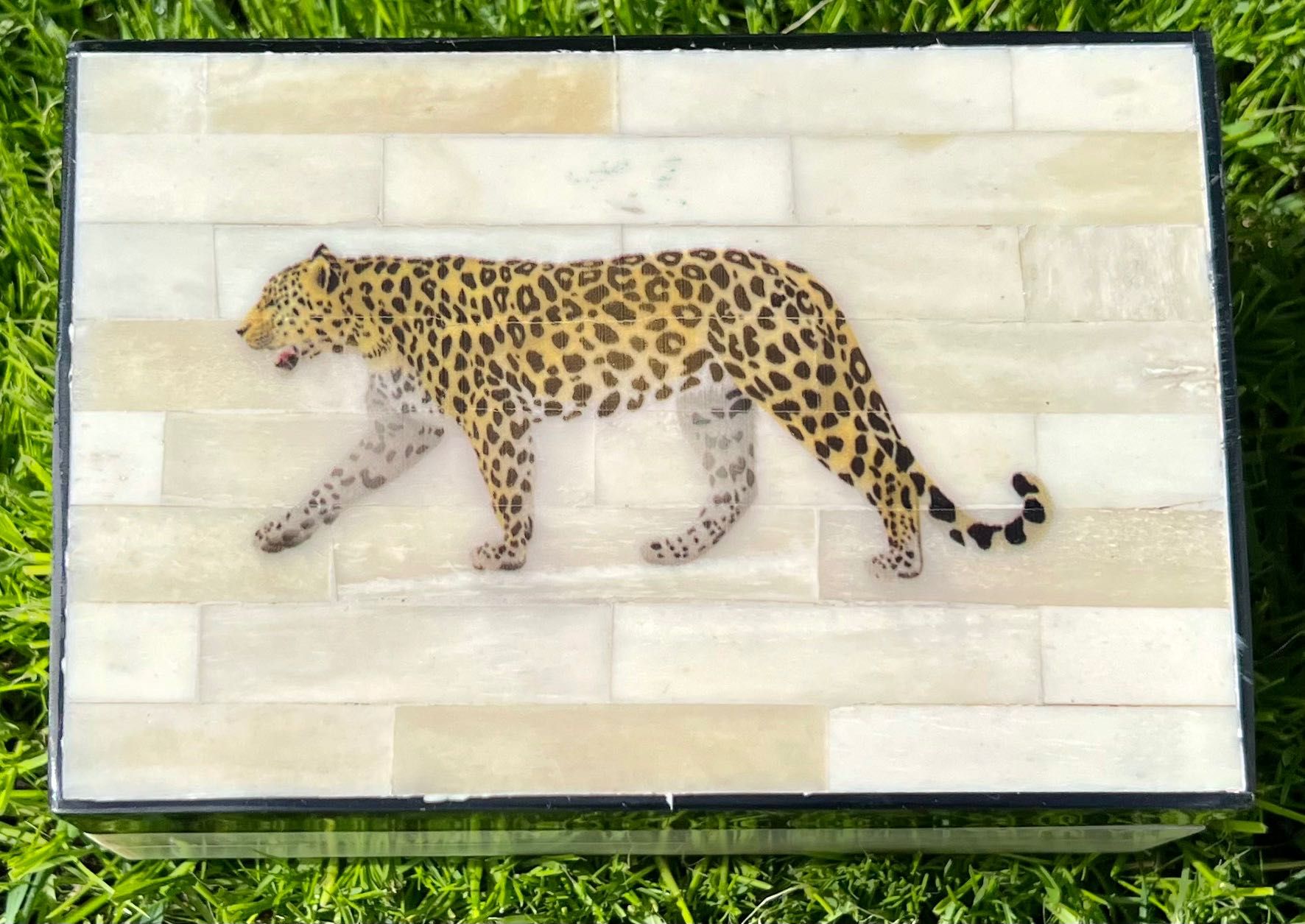 Oryginalna szkatułka z jaguarem