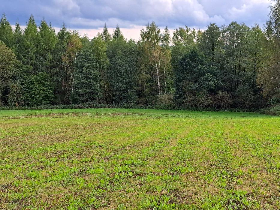 Działka rolno-budowlana