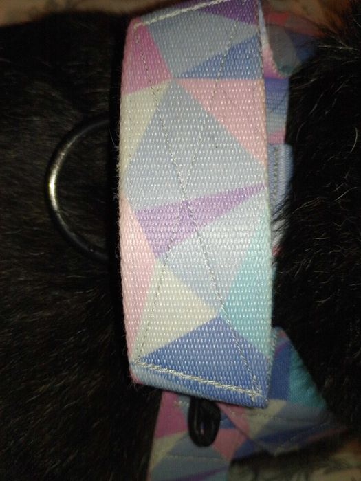 Warsaw Dog Szelki norweskie | L | 3,5 cm | Candy Blue