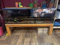 Duze Akwarium 450l