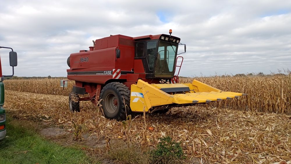 Case 1640 + Case 1030 kombajn zbożowy