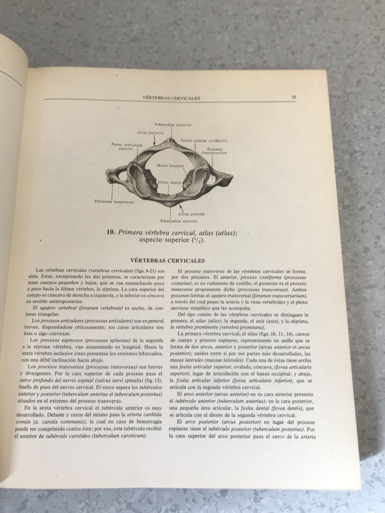 Atlas de Anatomia Humana Sinelnikov I tom Anatomia