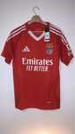 Camisola Principal Benfica  2024/2025
