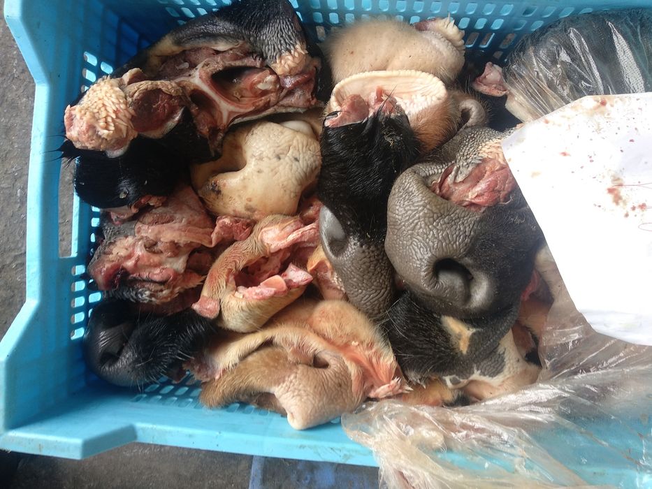 Мясной корм для собак, мясо для собак