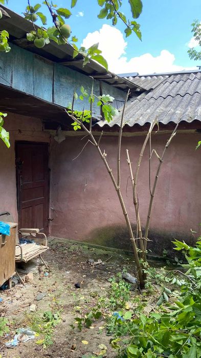 Будинок у с.Цибулівка