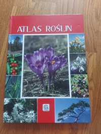 Atlas roślin ilustrowany album